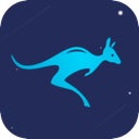 Daishu , 袋鼠破解版机场