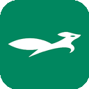 Lvhu , 绿色狐狸破解版机场