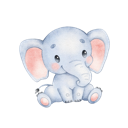 Daxiang , 巨象破解版机场